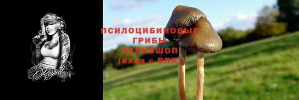 стафф Лихославль
