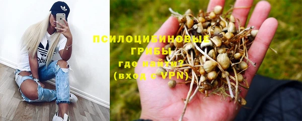 сатива Дедовск
