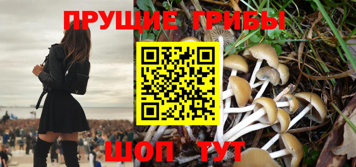 Кимры  где продают наркотики  Вход с VPN  Галлюциногенные грибы GOLDEN TEACHER 