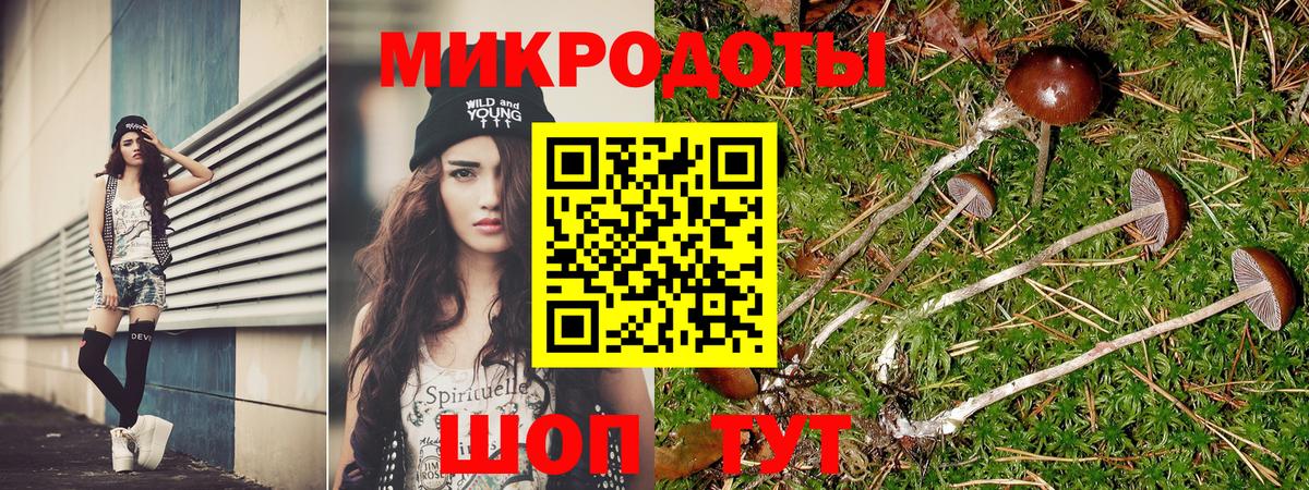 Галлюциногенные грибы ЛСД Кимры